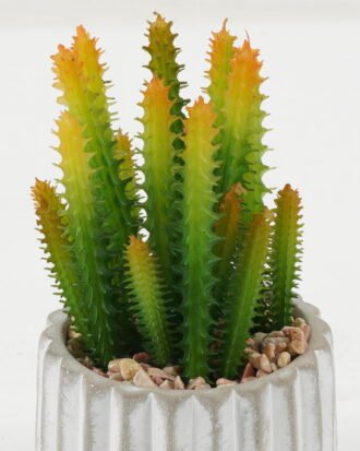 Artificial succulent 8*8*16cm Artificial succulent in Cement pot GS-51722162 Succulent YeahFlower is one of Chinese leading OEM manufacturers and exporters , supplying the silk flowers, wholesale artificial trees Artificial succulent 8*8*16cm Artificial succulent in Cement pot GS-51722162 Succulent YeahFlower is one of Chinese leading OEM manufacturers and exporters , supplying the silk flowers, wholesale artificial trees