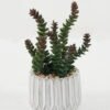 Artificial succulent in Cement pot GS-51722163 Artificial succulent 12*12*15cm Artificial succulent in Cement pot GS-51722163 Succulent YeahFlower is one of Chinese leading OEM manufacturers and exporters , supplying the silk flowers, wholesale artificial trees