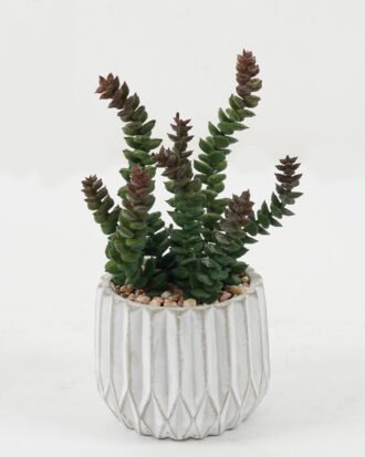 Artificial succulent 12*12*15cm Artificial succulent in Cement pot GS-51722163 Succulent YeahFlower is one of Chinese leading OEM manufacturers and exporters , supplying the silk flowers, wholesale artificial trees Artificial succulent 12*12*15cm Artificial succulent in Cement pot GS-51722163 Succulent YeahFlower is one of Chinese leading OEM manufacturers and exporters , supplying the silk flowers, wholesale artificial trees