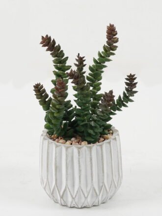 Artificial succulent 10*10*14cm Artificial succulent in Cement pot GS-51722164 Succulent 3,000+ sqm showroom with thousands of artificial flowers, plants & trees ready for global sourcing.