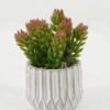 Artificial succulent 10*10*14cm Artificial succulent in Cement pot GS-51722164 Succulent 3,000+ sqm showroom with thousands of artificial flowers, plants & trees ready for global sourcing.