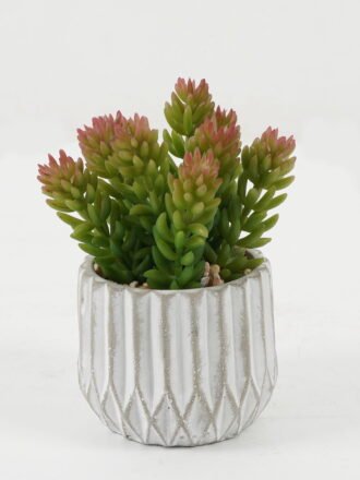 Artificial succulent 9*9*16cm Artificial succulent in Cement pot GS-51722165 Succulent 3,000+ sqm showroom with thousands of artificial flowers, plants & trees ready for global sourcing.