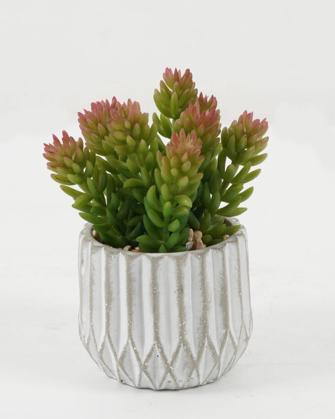 Artificial succulent 10*10*14cm Artificial succulent in Cement pot GS-51722164 Succulent 3,000+ sqm showroom with thousands of artificial flowers, plants & trees ready for global sourcing.