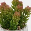Artificial succulent 10*10*14cm Artificial succulent in Cement pot GS-51722164 Succulent 3,000+ sqm showroom with thousands of artificial flowers, plants & trees ready for global sourcing.