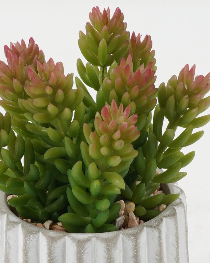 Artificial succulent 10*10*14cm Artificial succulent in Cement pot GS-51722164 Succulent 3,000+ sqm showroom with thousands of artificial flowers, plants & trees ready for global sourcing.
