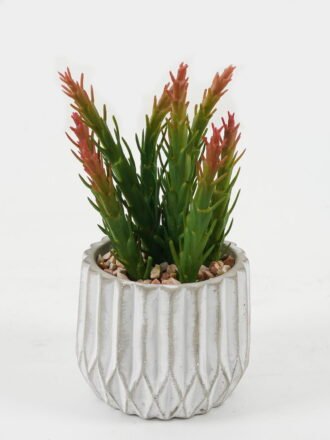 Artificial succulent 21*21*20cm Artificial succulent in Cement pot GS-51722166 Succulent 3,000+ sqm showroom with thousands of artificial flowers, plants & trees ready for global sourcing.