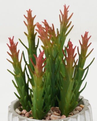 Artificial succulent 9*9*16cm Artificial succulent in Cement pot GS-51722165 Succulent YeahFlower is one of Chinese leading OEM manufacturers and exporters , supplying the silk flowers, wholesale artificial trees Artificial succulent 9*9*16cm Artificial succulent in Cement pot GS-51722165 Succulent YeahFlower is one of Chinese leading OEM manufacturers and exporters , supplying the silk flowers, wholesale artificial trees