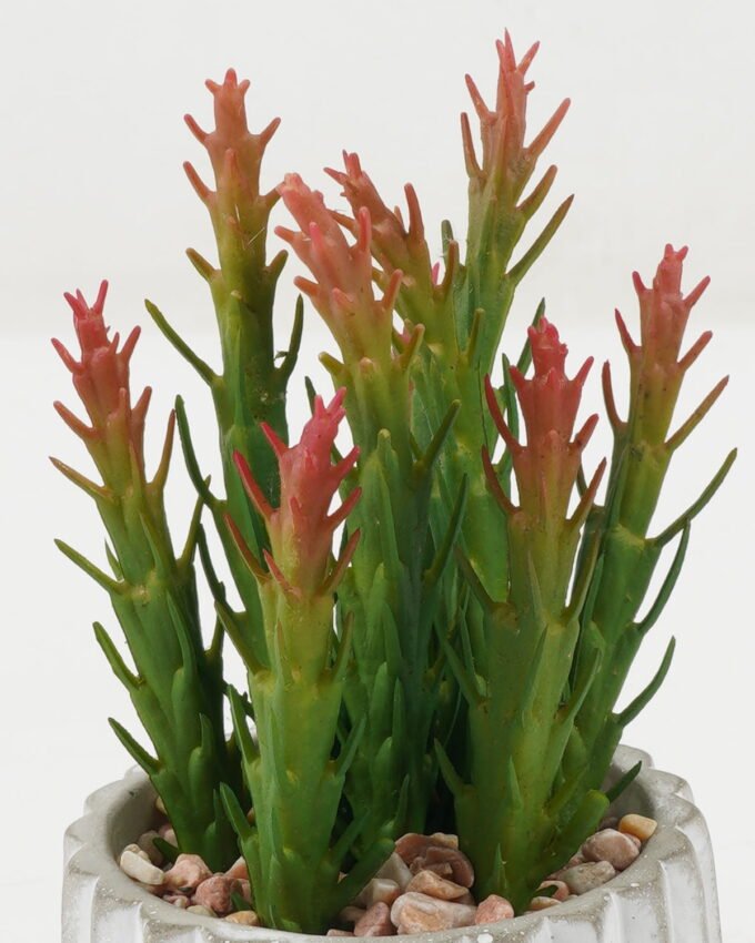 Artificial succulent 9*9*16cm Artificial succulent in Cement pot GS-51722165 Succulent YeahFlower is one of Chinese leading OEM manufacturers and exporters , supplying the silk flowers, wholesale artificial trees