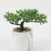 Artificial succulent in Cement pot GS-51722166 Artificial succulent 21*21*20cm Artificial succulent in Cement pot GS-51722166 Succulent YeahFlower is one of Chinese leading OEM manufacturers and exporters , supplying the silk flowers, wholesale artificial trees