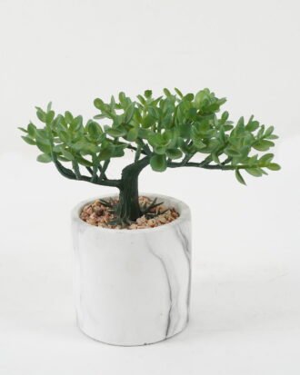 Artificial succulent 21*21*20cm Artificial succulent in Cement pot GS-51722166 Succulent YeahFlower is one of Chinese leading OEM manufacturers and exporters , supplying the silk flowers, wholesale artificial trees Artificial succulent 21*21*20cm Artificial succulent in Cement pot GS-51722166 Succulent YeahFlower is one of Chinese leading OEM manufacturers and exporters , supplying the silk flowers, wholesale artificial trees
