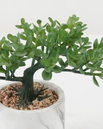 Artificial succulent 21*21*20cm Artificial succulent in Cement pot GS-51722166 Succulent YeahFlower is one of Chinese leading OEM manufacturers and exporters , supplying the silk flowers, wholesale artificial trees Artificial succulent 21*21*20cm Artificial succulent in Cement pot GS-51722166 Succulent YeahFlower is one of Chinese leading OEM manufacturers and exporters , supplying the silk flowers, wholesale artificial trees