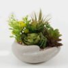 Artificial succulent 16*16*17cm Artificial succulent in Cement pot GS-51722168 Succulent YeahFlower is one of Chinese leading OEM manufacturers and exporters , supplying the silk flowers, wholesale artificial trees