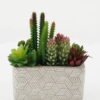Artificial succulent in Cement pot GS-51722169 Artificial succulent 18*18*18cm Artificial succulent in Cement pot GS-51722169 Succulent YeahFlower is one of Chinese leading OEM manufacturers and exporters , supplying the silk flowers, wholesale artificial trees