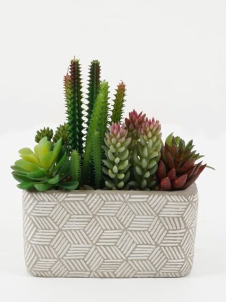 Artificial succulent 12*12*13cm Artificial succulent in ceramic pot GS-51722108 Succulent 3,000+ sqm showroom with thousands of artificial flowers, plants & trees ready for global sourcing.