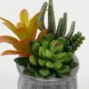 Artificial succulent in Cement pot GS-51722176_4 Artificial succulent 13*13*16cm Artificial succulent in Cement pot GS-51722176 Succulent YeahFlower is one of Chinese leading OEM manufacturers and exporters , supplying the silk flowers, wholesale artificial trees