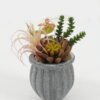 Artificial succulent in Cement pot GS-51722177 Artificial succulent 16*16*15cm Artificial succulent in Cement pot GS-51722177 Succulent YeahFlower is one of Chinese leading OEM manufacturers and exporters , supplying the silk flowers, wholesale artificial trees