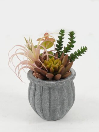 Artificial succulent 15*15*16cm Artificial succulent in Cement pot GS-51722181 Succulent 3,000+ sqm showroom with thousands of artificial flowers, plants & trees ready for global sourcing.