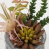 Artificial succulent in Cement pot GS-51722177_4 Artificial succulent 16*16*15cm Artificial succulent in Cement pot GS-51722177 Succulent YeahFlower is one of Chinese leading OEM manufacturers and exporters , supplying the silk flowers, wholesale artificial trees