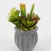 Artificial succulent in Cement pot GS-51722178 Artificial succulent 13*13*17cm Artificial succulent in Cement pot GS-51722178 Succulent YeahFlower is one of Chinese leading OEM manufacturers and exporters , supplying the silk flowers, wholesale artificial trees