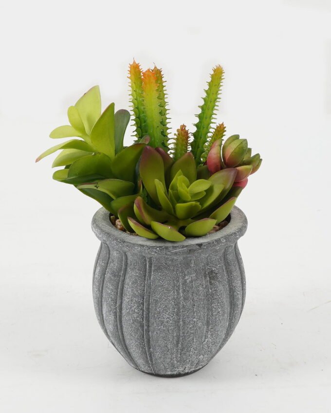 Artificial succulent in Cement pot GS-51722178 Artificial succulent 13*13*17cm Artificial succulent in Cement pot GS-51722178 Succulent YeahFlower is one of Chinese leading OEM manufacturers and exporters , supplying the silk flowers, wholesale artificial trees