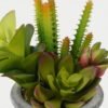 Artificial succulent in Cement pot GS-51722178_4 Artificial succulent 13*13*17cm Artificial succulent in Cement pot GS-51722178 Succulent YeahFlower is one of Chinese leading OEM manufacturers and exporters , supplying the silk flowers, wholesale artificial trees