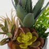 Artificial succulent in Cement pot GS-51722179_1 Artificial succulent 18*18*20cm Artificial succulent in Cement pot GS-51722179 Succulent YeahFlower is one of Chinese leading OEM manufacturers and exporters , supplying the silk flowers, wholesale artificial trees