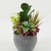 Artificial succulent in Cement pot GS-51722180 Artificial succulent 17*17*21cm Artificial succulent in Cement pot GS-51722180 Succulent YeahFlower is one of Chinese leading OEM manufacturers and exporters , supplying the silk flowers, wholesale artificial trees