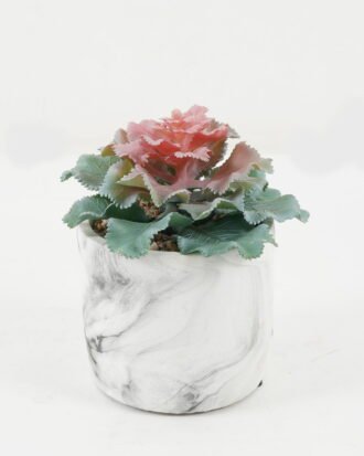 Artificial succulent 15*15*16cm Artificial succulent in Cement pot GS-51722181 Succulent YeahFlower is one of Chinese leading OEM manufacturers and exporters , supplying the silk flowers, wholesale artificial trees