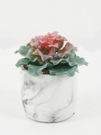 Artificial succulent 16*16*15cm Artificial succulent in Cement pot GS-51722177 Succulent 3,000+ sqm showroom with thousands of artificial flowers, plants & trees ready for global sourcing.