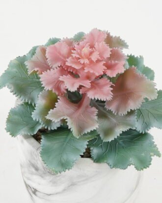 Artificial succulent 15*15*16cm Artificial succulent in Cement pot GS-51722181 Succulent YeahFlower is one of Chinese leading OEM manufacturers and exporters , supplying the silk flowers, wholesale artificial trees