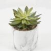 Artificial succulent 16*16*17cm Artificial succulent in Cement pot GS-51722182 Succulent YeahFlower is one of Chinese leading OEM manufacturers and exporters , supplying the silk flowers, wholesale artificial trees