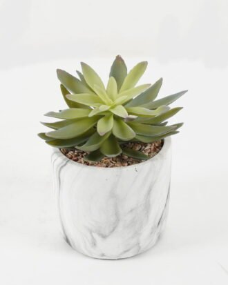 Artificial succulent 16*16*17cm Artificial succulent in Cement pot GS-51722182 Succulent YeahFlower is one of Chinese leading OEM manufacturers and exporters , supplying the silk flowers, wholesale artificial trees
