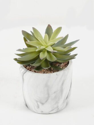 Artificial succulent 15*15*16cm Artificial succulent in Cement pot GS-51722181 Succulent 3,000+ sqm showroom with thousands of artificial flowers, plants & trees ready for global sourcing.