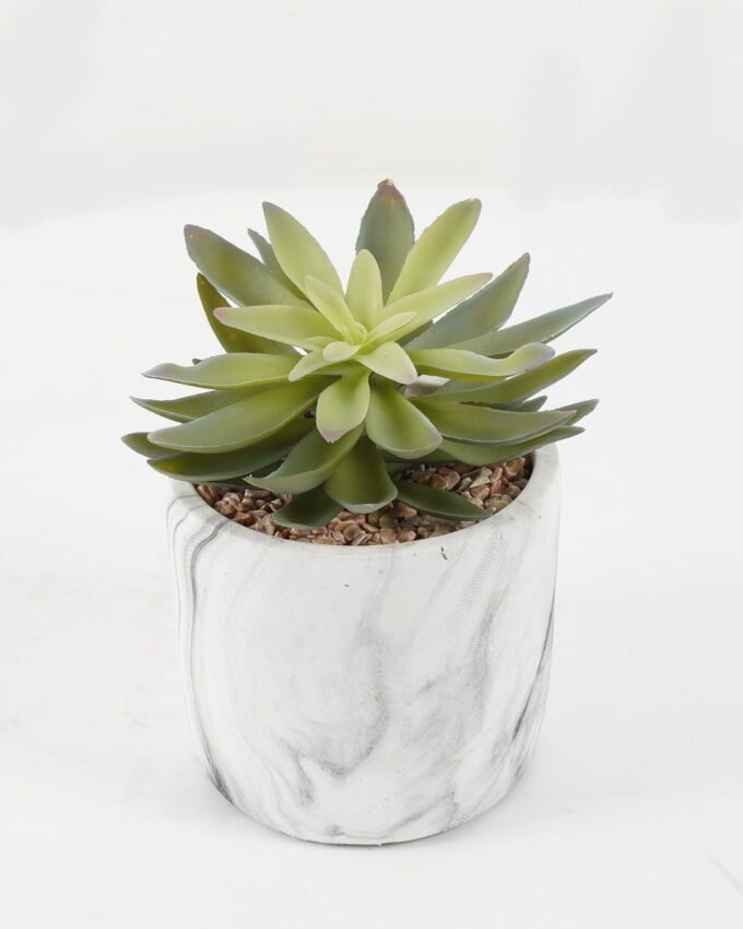 Artificial succulent 16*16*17cm Artificial succulent in Cement pot GS-51722182 Succulent YeahFlower is one of Chinese leading OEM manufacturers and exporters , supplying the silk flowers, wholesale artificial trees