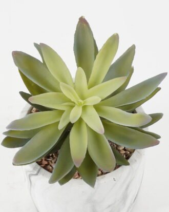 Artificial succulent 16*16*17cm Artificial succulent in Cement pot GS-51722182 Succulent YeahFlower is one of Chinese leading OEM manufacturers and exporters , supplying the silk flowers, wholesale artificial trees
