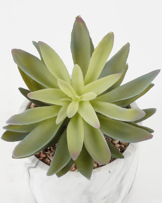 Artificial succulent 16*16*17cm Artificial succulent in Cement pot GS-51722182 Succulent YeahFlower is one of Chinese leading OEM manufacturers and exporters , supplying the silk flowers, wholesale artificial trees