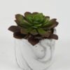 Artificial succulent in Cement pot GS-51722184 Artificial succulent 14*14*15cm Artificial succulent in Cement pot GS-51722184 Succulent YeahFlower is one of Chinese leading OEM manufacturers and exporters , supplying the silk flowers, wholesale artificial trees