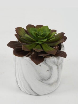 Artificial succulent 5.5*5*8.6cm succulent plants in glass pot GS-51720091 Succulent 3,000+ sqm showroom with thousands of artificial flowers, plants & trees ready for global sourcing.