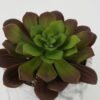 Artificial succulent in Cement pot GS-51722184_4 Artificial succulent 14*14*15cm Artificial succulent in Cement pot GS-51722184 Succulent YeahFlower is one of Chinese leading OEM manufacturers and exporters , supplying the silk flowers, wholesale artificial trees
