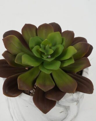 Artificial succulent 14*14*15cm Artificial succulent in Cement pot GS-51722184 Succulent YeahFlower is one of Chinese leading OEM manufacturers and exporters , supplying the silk flowers, wholesale artificial trees