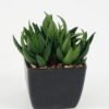 Artificial succulent in PP pot GS-51722137 Artificial succulent 8*8*9cm Artificial succulent in PP pot GS-51722137 Succulent YeahFlower is one of Chinese leading OEM manufacturers and exporters , supplying the silk flowers, wholesale artificial trees