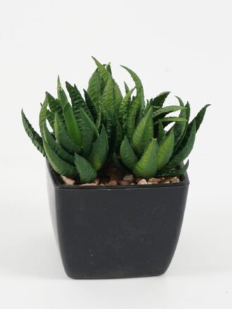Artificial succulent 7*7*9cm Artificial succulent in PP pot GS-51722138 Succulent 3,000+ sqm showroom with thousands of artificial flowers, plants & trees ready for global sourcing.
