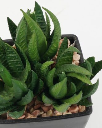 Artificial succulent 8*8*9cm Artificial succulent in PP pot GS-51722137 Succulent YeahFlower is one of Chinese leading OEM manufacturers and exporters , supplying the silk flowers, wholesale artificial trees