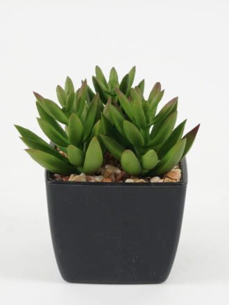 Artificial succulent 8*8*9cm Artificial succulent in PP pot GS-51722137 Succulent 3,000+ sqm showroom with thousands of artificial flowers, plants & trees ready for global sourcing.