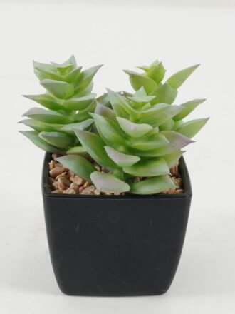 Artificial succulent 9*9*10cm Artificial succulent in PP pot GS-51722141 Succulent 3,000+ sqm showroom with thousands of artificial flowers, plants & trees ready for global sourcing.