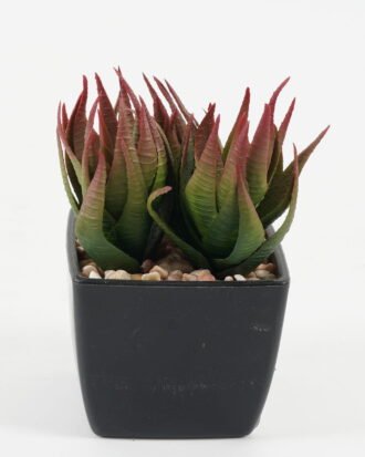 Artificial succulent 9*9*10cm Artificial succulent in PP pot GS-51722141 Succulent YeahFlower is one of Chinese leading OEM manufacturers and exporters , supplying the silk flowers, wholesale artificial trees