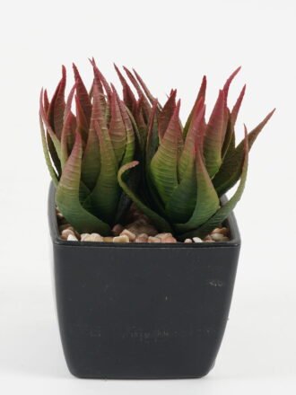 Artificial succulent 9*9*10cm Artificial succulent in PP pot GS-51722142 Succulent 3,000+ sqm showroom with thousands of artificial flowers, plants & trees ready for global sourcing.