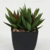 Artificial succulent in PP pot GS-51722142 Artificial succulent 9*9*10cm Artificial succulent in PP pot GS-51722142 Succulent YeahFlower is one of Chinese leading OEM manufacturers and exporters , supplying the silk flowers, wholesale artificial trees