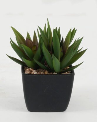 Artificial succulent 9*9*10cm Artificial succulent in PP pot GS-51722142 Succulent YeahFlower is one of Chinese leading OEM manufacturers and exporters , supplying the silk flowers, wholesale artificial trees