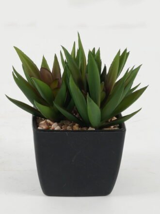 Artificial succulent 9*9*10cm Artificial succulent in PP pot GS-51722141 Succulent 3,000+ sqm showroom with thousands of artificial flowers, plants & trees ready for global sourcing.